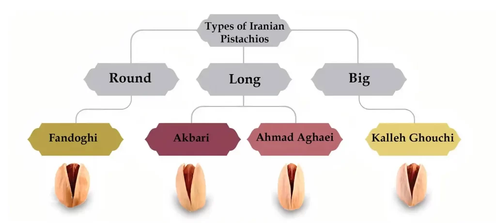 Types-of-iranian-pistachios